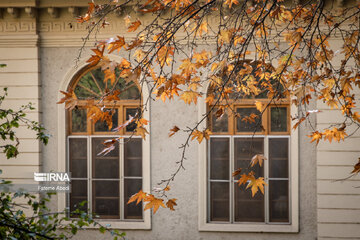 Beauties of fall in Tehran