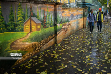 Beauties of fall in Tehran