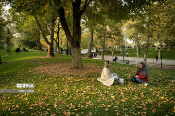 Beauties of fall in Tehran