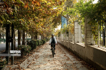 Beauties of fall in Tehran