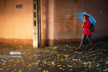 Beauties of fall in Tehran