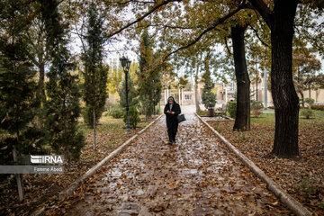 Beauties of fall in Tehran