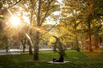 Beauties of fall in Tehran