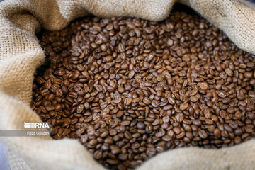 Coffee exhibition in southern Iran