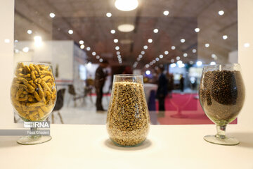 Coffee exhibition in southern Iran