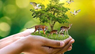 حفاظت مشارکتی مردمی؛ شاه کلید نجات زیستگاه های جانوری ایلام