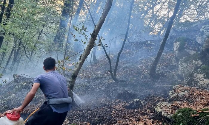 آتش سوزی جنگل تنکابن پس از ۴۸ ساعت مهار شد+فیلم