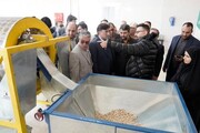واحد بسته بندی خشکبار در ارس آذربایجان شرقی بهره برداری شد