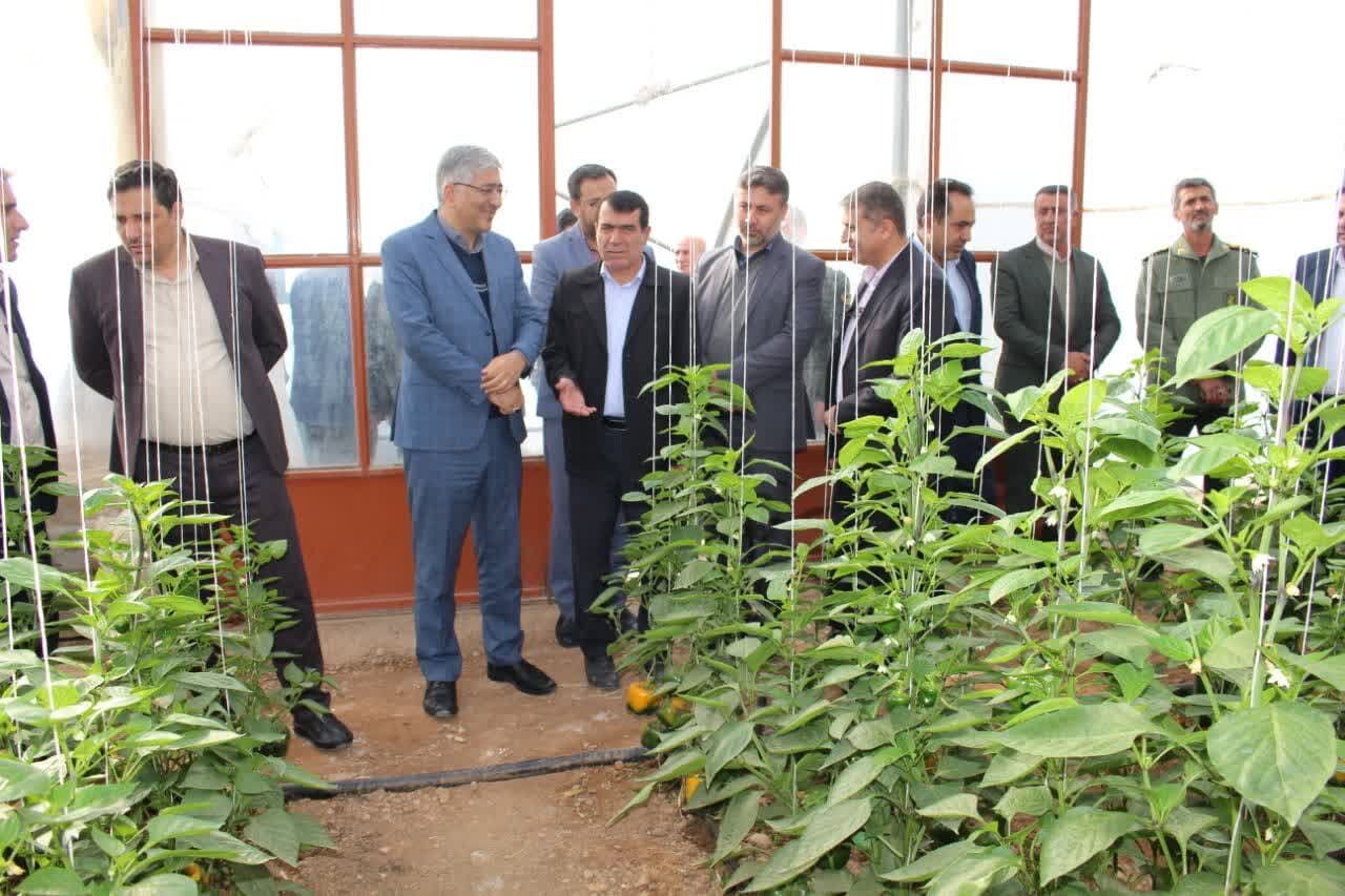 شهرستان خانمیرزا ۶۰ هکتار گلخانه در حال بهره‌برداری دارد