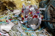 فیلم|وضعیت شکننده مدیریت زباله‌های عفونی در مازندران
