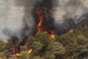 جنگل‌های تنکابن همچنان می‌سوزد/ شرایط نامساعد جوی مانع پرواز بالگرد به محل آتش‌سوزی