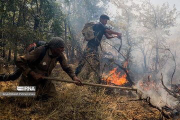 فیلم | آتش در مراتع شهرستان پلدختر لرستان
