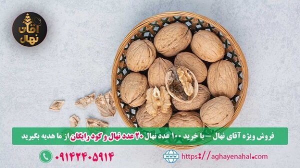 20 نهال و یک بسته کود رایگان، با خرید 100 اصله نهال