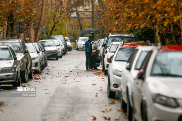 Rain brings joy to pollution-free Tehran