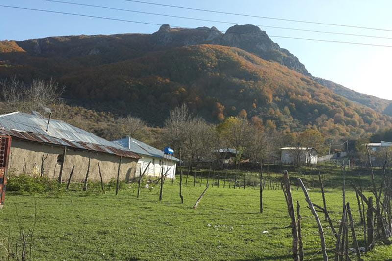 روستای داماش گیلان؛ زیستگاه گل سوسن چلچراغ