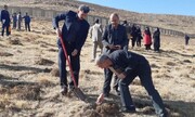 ۴۰ هکتار بذرکاری در استان مرکزی انجام شد+فیلم
