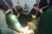 ۱۵ درصد جراحی های سرطان سینه کشور در شیراز انجام می شود