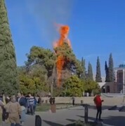 آتش سوزی آرامگاه سعدی مربوط به ۲ درخت کهنسال است