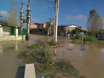 فیلم|طغیان رودخانه‌های محلی و آبگرفتگی روستاهای بابل