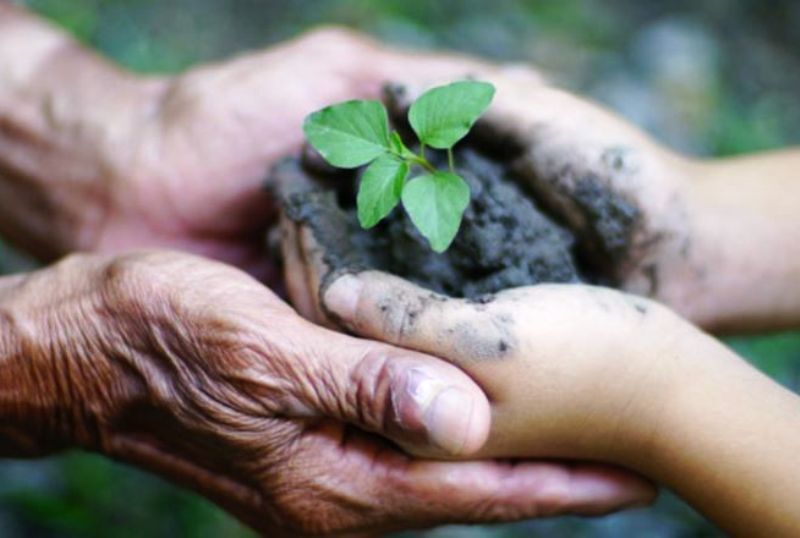 بحران جمعیت جدی‌تر از کمبود آب در استان سمنان است