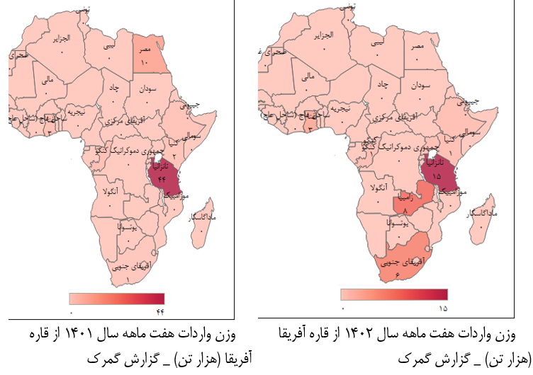 تجارت ۷ ماهه ایران و آفریقا؛ استراتژی توسعه تجاری داریم یا نداریم؟