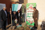تفاهم‌نامه کاشت نهال بین منابع طبیعی و آموزش و پرورش خوزستان منعقد شد