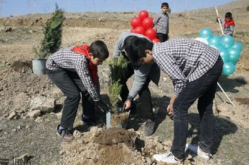 کاشت درخت در مدارس اقدام تحولی است