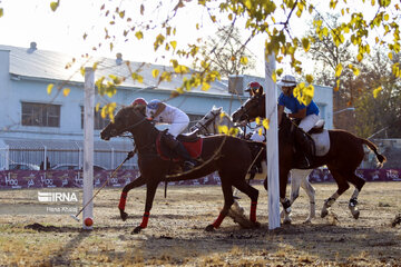 Iran's National Polo League in Qazvin