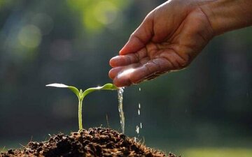 توصیه‌هایی به کشاورزان و دامداران برای حفظ و سلامت خاک