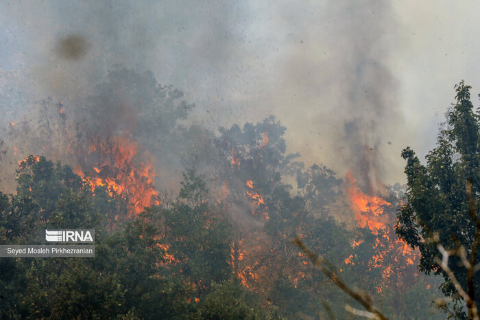 وضعیت جسمی همیار مصدوم در آتش‌سوزی جنگل تنکابن رو به بهبودی است