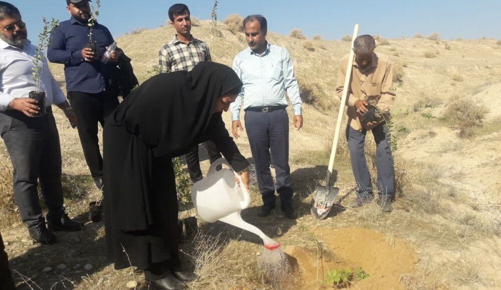 معاون منابع طبیعی بوشهر: ۱۶ میلیون اصله نهال در استان کشت می‌شود