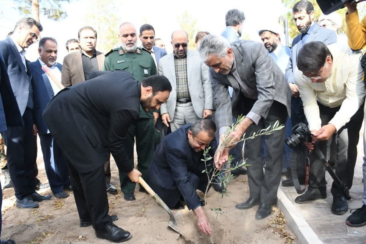طرح مردمی کاشت درخت در خراسان جنوبی آغاز شد طرح مردمی کاشت درخت در خراسان جنوبی آغاز شد