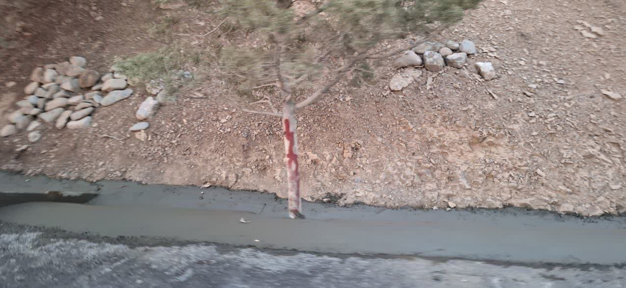 قصور پیمانکار در بتن ریزی پای درختان جاده جنگل لواسان