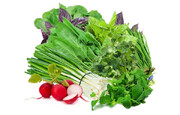 ترکیب سبزی‌ها برای غذاهای مختلف که هر کدبانویی باید بداند