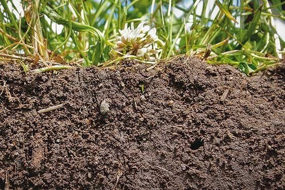 وضعیت نگران کننده خاک خوزستان از زبان کارشناسان