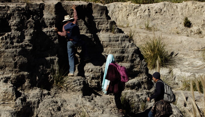 اکران «مسافری از گانورا» تا رونمایی از پوستر «قوی دل»