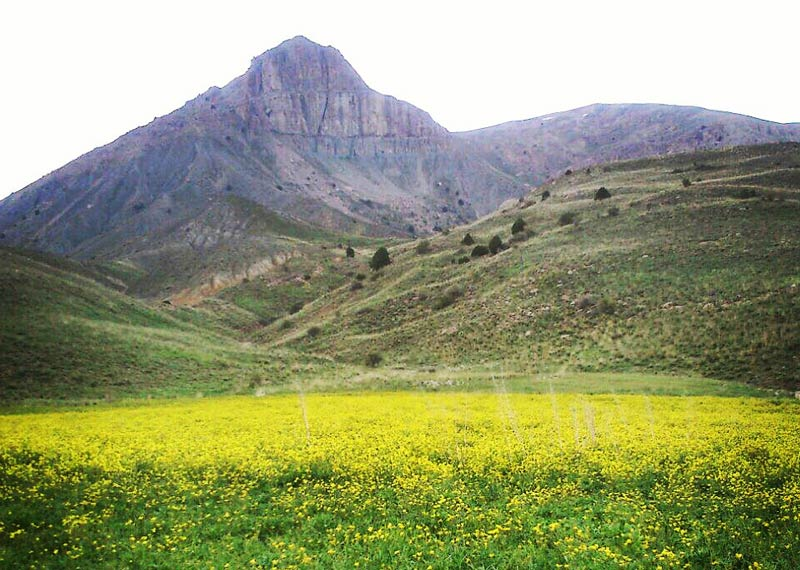 پارک ملی ساریگل؛ طبیعت بکر و مجذوب کننده اسفراین
