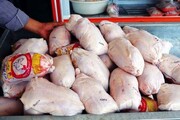 هزار و ۵۰۰ تن مرغ منجمد در استان بوشهر توزیع شد