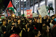 وائٹ ہاؤس سے کانگریس تک فلسطین حامی امریکی عوام کا وسیع مظاہرہ