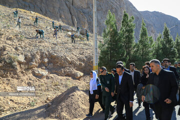 Tree-planting project in Iran's Kerman