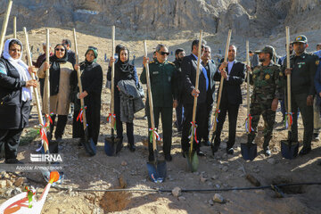 Tree-planting project in Iran's Kerman