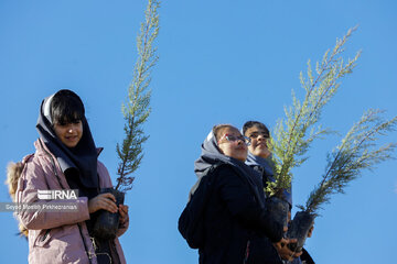 Planting 12 million saplings in Sanandaj