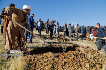 Planting 12 million saplings in Sanandaj