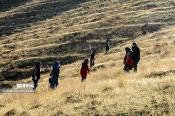 Planting 12 million saplings in Sanandaj