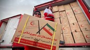 ۱۲ تریلر حامل مواد غذایی از فارس به مقصد غزه اعزام شد