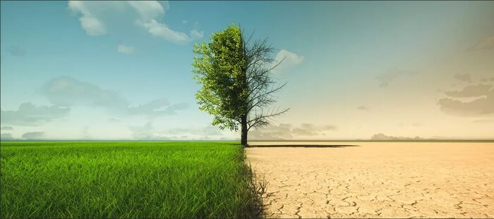 چرا برخی افراد تغییرات اقلیمی را انکار میکنند؟