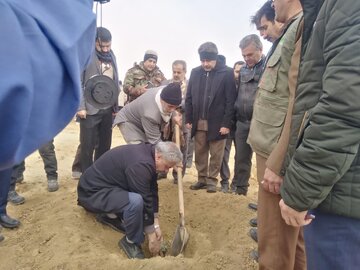 درختکاری ۱۵ هکتار از اراضی بیابانی شهرستان سرخس آغاز شد