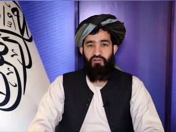 بلخی: امریکا ساختار‌های بین‌المللی را ضد حقوق بشر استفاده می‌کند/ امریکا شریک مظالم غزه است