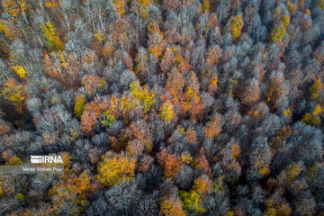 La saison aux mille couleurs de l'automne