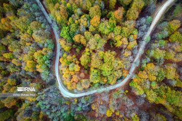 La saison aux mille couleurs de l'automne